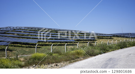 A vast solar panel array, consisting of numerous rows of photovoltaic panels, is installed on a hillside covered with green grass and yellow wildflowers. The solar panels are arranged in a neat 129801686