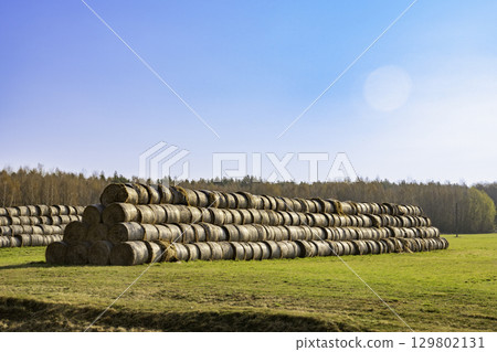 A large stack of straw bales in a field under a blue sky 129802131