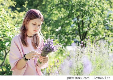 Girl harvesting lavender in beautiful blooming field on sunny summer day 129802156