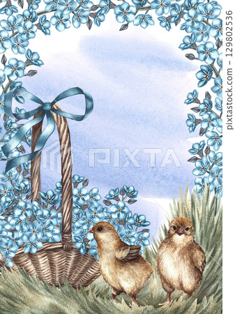 Easter card. Cute chicks on the grass surrounded by forget-me-nots and a wicker basket with flowers. Hand-drawn watercolor illustration. For making greeting cards and Easter invitations. For packaging 129802536