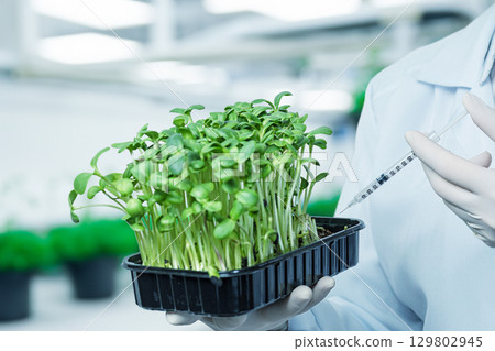 Generated image Generated image 129802945