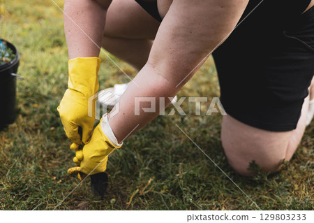 Close up of a person gardening outdoors on a sunny day, working with yellow gloves. A person in gloves is tending to a garden lawn, kneeling in the grass. A bucket and gardening tool are present. Close up of a person gardening outdoors on a sunny day, working with yellow gloves. A person in gloves is tending to a garden lawn, kneeling in the grass. A bucket and gardening tool are present. 129803233