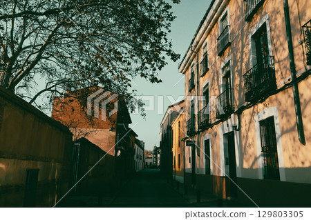 Picturesque narrow street lined with historic buildings bathed in warm evening light. Shadows from trees dance on the facades, creating a peaceful and cinematic atmosphere. Charming old European town. 129803305