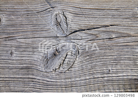 gray wooden surface with knots and cracks, damaged by wind and sand 129803498