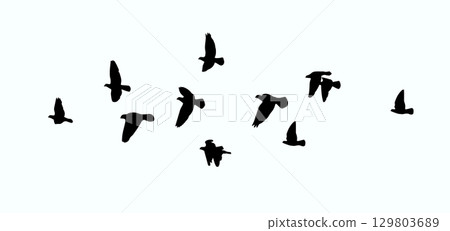 Flying birds silhouette flock. hand drawing. Not AI. Vector illustration Flying birds silhouette flock. hand drawing. Not AI. Vector illustration 129803689