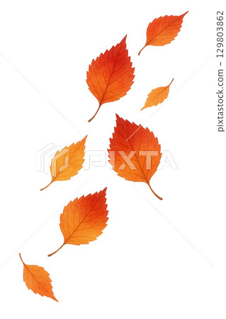 秋葉飄落的水彩插圖（透明PNG） 129803862