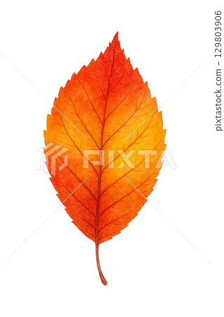 生動的秋季樹葉水彩插圖(透明PNG) 生動的秋季樹葉水彩插圖(透明PNG) 129803906