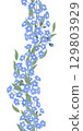 Blue forget-me-nots, floral vertical seamless border, hand-drawn watercolor digital illustration in flat naive style, isolated. Element for designing 129803929