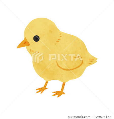 Chick watercolor hand-drawn illustration Chick watercolor hand-drawn illustration 129804162
