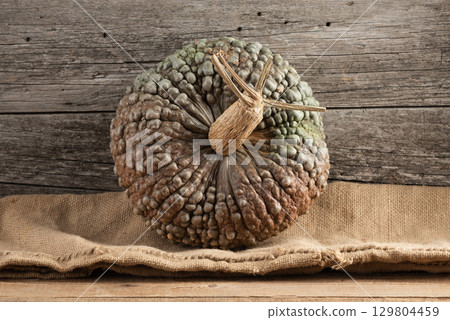 Fall Harvest Marina di Chioggia Warty Pumpkin on Burlap Fall Harvest Marina di Chioggia Warty Pumpkin on Burlap 129804459
