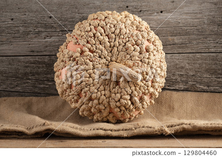 Autumn Harvest Galeux d' Eysines Peanut Pumpkin on Hessian Autumn Harvest Galeux d' Eysines Peanut Pumpkin on Hessian 129804460