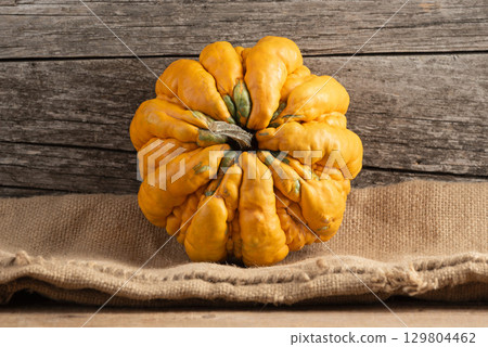 Fall Harvest Guicoy Pumpkin on Burlap 129804462