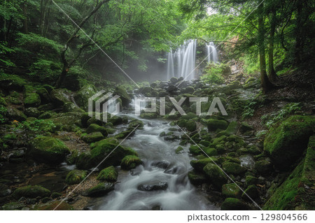 Otome Falls, shining among the fresh greenery 129804566
