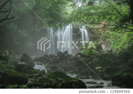 閃耀在新綠色中的乙女瀑布 閃耀在新綠色中的乙女瀑布 129804568