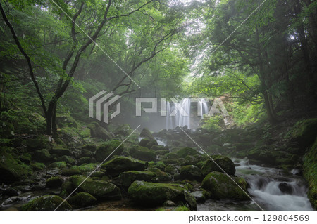 閃耀在新綠色中的乙女瀑布 129804569