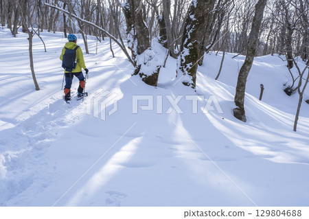 Image of enjoying fresh snow in the forest on snowshoes Oyamakiyazawa mountain stream Image of enjoying fresh snow in the forest on snowshoes Oyamakiyazawa mountain stream 129804688