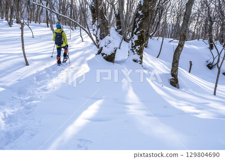 Image of enjoying fresh snow in the forest on snowshoes Oyamakiyazawa mountain stream 129804690