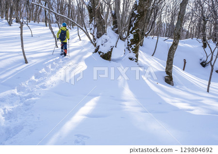 Image of enjoying fresh snow in the forest on snowshoes Oyamakiyazawa mountain stream 129804692
