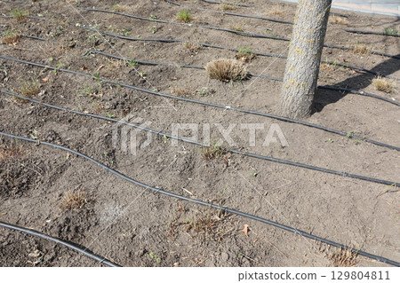 Effective Irrigation Systems Designed for Use in Arid and Dry Landscapes and Regions 129804811