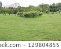 A Lush, Vibrant Green Park Surrounded by Majestic Trees and an Urban City Background 129804855