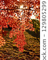 Momiji who changed leaves 129805299