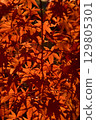 Momiji who changed leaves 129805301
