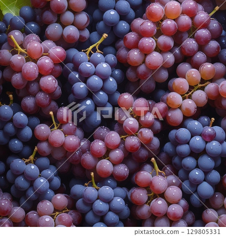 Background design of lots of grapes 129805331
