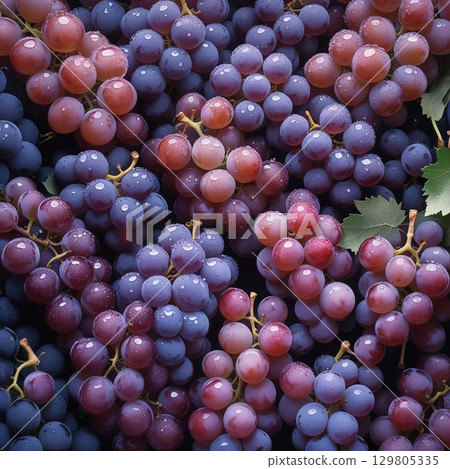 Background design of lots of grapes 129805335