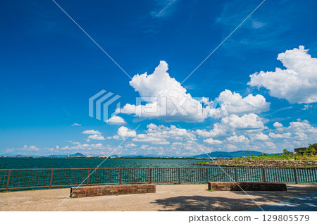 滋賀縣大津市琵琶湖渚公園的夏日風景 滋賀縣大津市琵琶湖渚公園的夏日風景 129805579