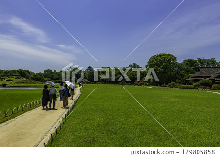 岡山縣岡山市岡山後樂園草坪 岡山縣岡山市岡山後樂園草坪 129805858