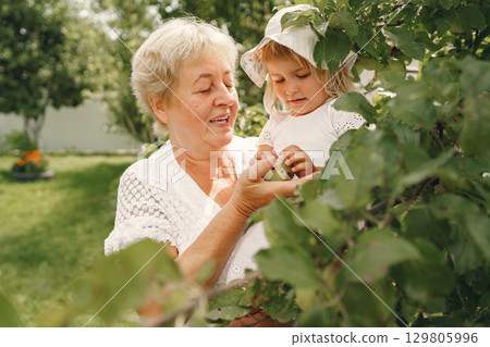 Grandmother and granddaughter together, hugging and joyfully laughing in a Flowering apricot garden in April. Family outdoors lifestyle. Grandmother and granddaughter together, hugging and joyfully laughing in a Flowering apricot garden in April. Family outdoors lifestyle. 129805996
