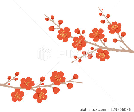 Illustration of a red plum branch on a white background 129806086