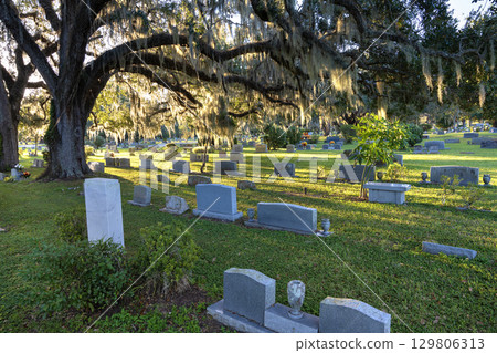 Grave tombstones in old cemetery in shade of southern oak trees on green grass in Orlando, Florida. Death concept Grave tombstones in old cemetery in shade of southern oak trees on green grass in Orlando, Florida. Death concept 129806313