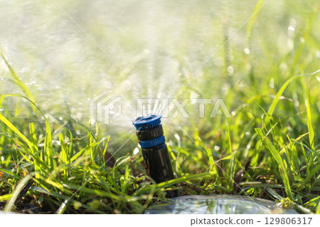 Irrigation lawn sprinkler spreading water over backyard grass in dry season to keep it green and fresh 129806317