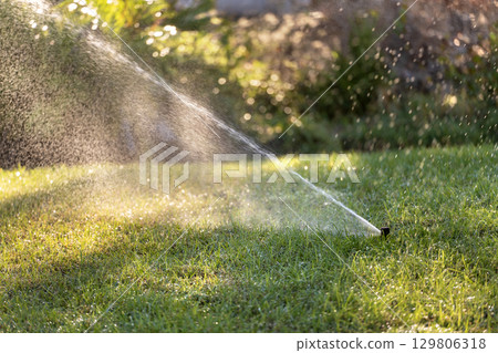 Automatic irrigation system with water sprinkler for maintaining grass lawn Automatic irrigation system with water sprinkler for maintaining grass lawn 129806318