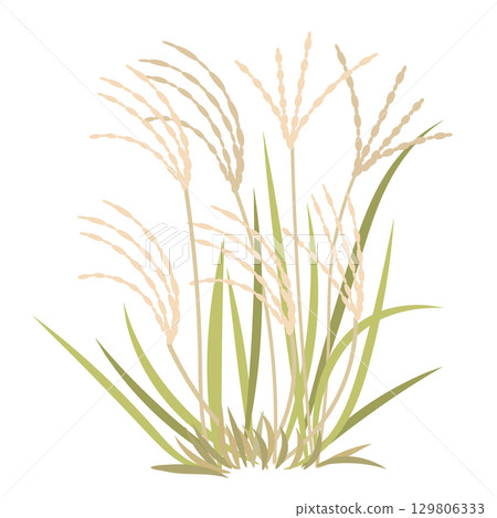 蒲葦插畫素材 蒲葦插畫素材 129806333