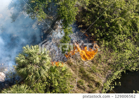 Florida woodland burns in intense vegetation fire during dry conditions, with no firefighting response visible as smoke fills the air 129806562
