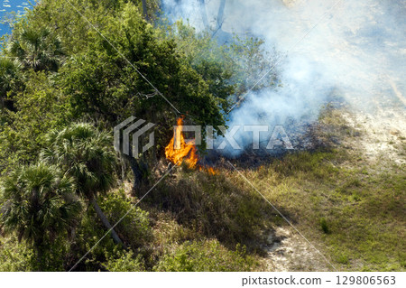 Florida forest fire burns through vegetation in dry weather, with visible flames and smoke rising into the sky 129806563