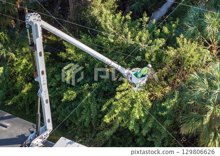 Technician worker cutting tree branches from the electrical power cable area to reduce power outages 129806626
