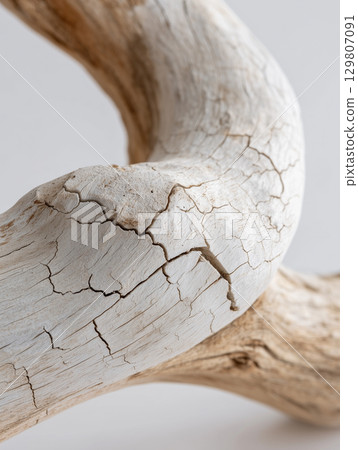 Close-up of natural driftwood 129807091