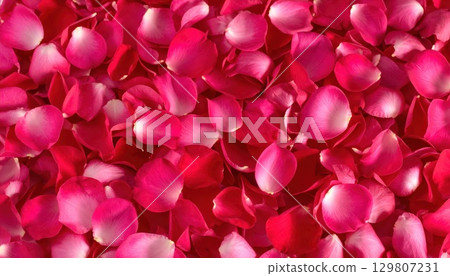 AI Image: Red rose petals background material 129807231