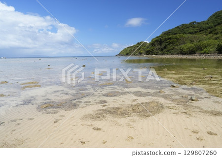 [沖繩縣]石垣島海岸 129807260