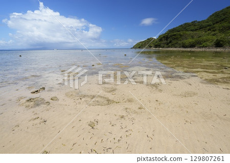[Okinawa Prefecture] Ishigaki Island's coast 129807261