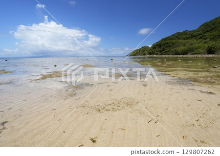 [沖繩縣]石垣島海岸 129807262
