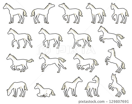Illustration set of white horses in various poses Illustration set of white horses in various poses 129807691