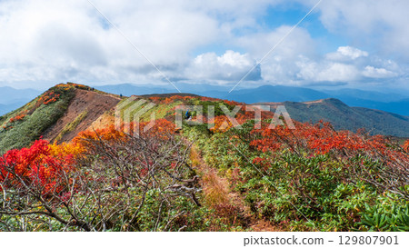 Climbing Mount Kurikoma in autumn (Mount Kurikoma to Mount Masu) Climbing Mount Kurikoma in autumn (Mount Kurikoma to Mount Masu) 129807901