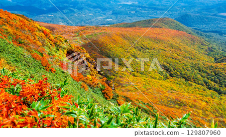 Autumn leaves on Mount Kurikoma (God's Carpet) Autumn leaves on Mount Kurikoma (God's Carpet) 129807960