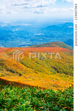 栗駒山（神的地毯）的紅葉 129807964