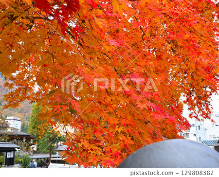 越後湯澤溫泉街的紅葉 越後湯澤溫泉街的紅葉 129808382
