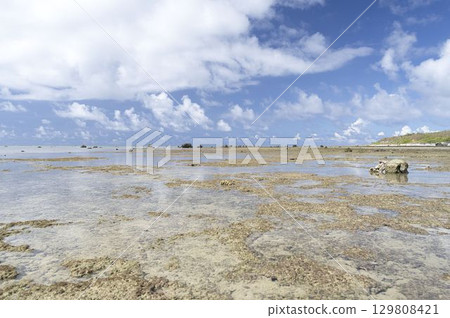 [Ishigaki Island, Okinawa Prefecture] Shiraho Beach 129808421